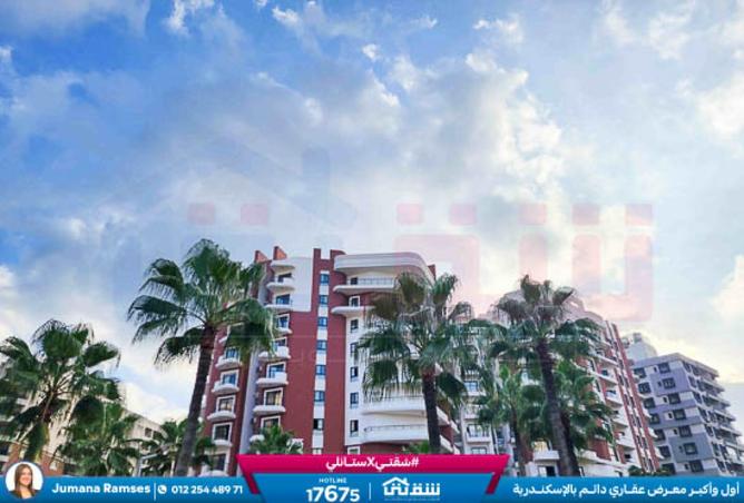 8388694 - Property Image 2