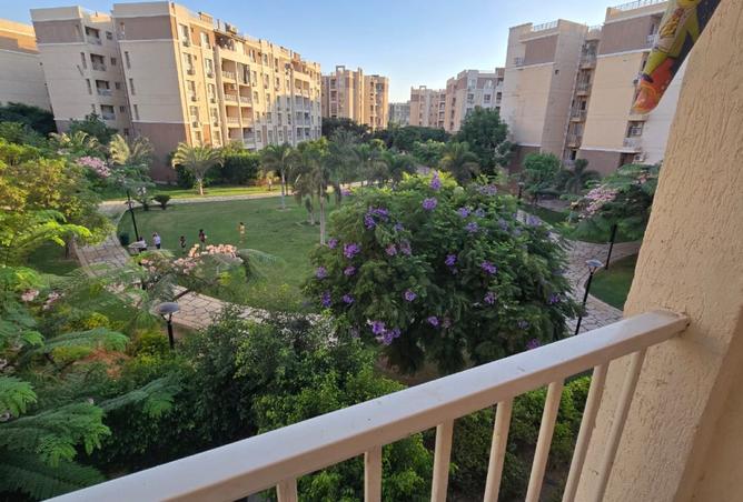 7901727 - صورة العقار 2