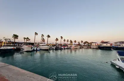 شقة - 2 غرف نوم - 1 حمام للبيع في منطقة ارابيا - الغردقة - محافظة البحر الاحمر شقة - 2 غرف نوم - 1 حمام للبيع في منطقة ارابيا - الغردقة - محافظة البحر الاحمر