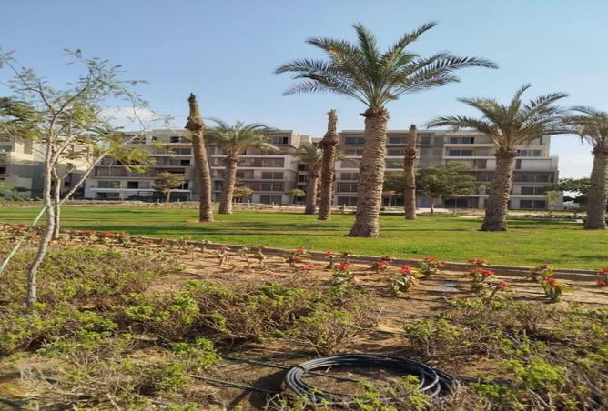 8392669 - Property Image 3