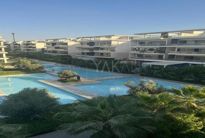 8501003 - Property Image 3