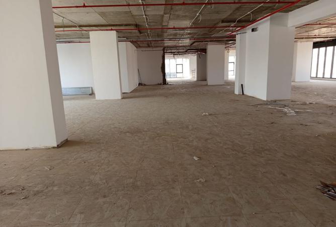 8155609 - Property Image 3
