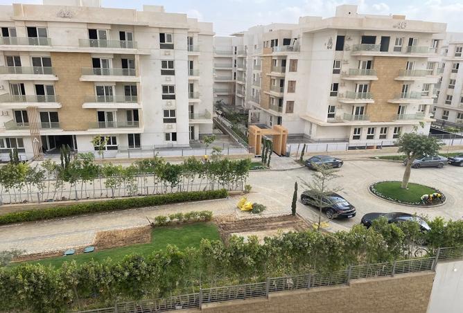 7993670 - Property Image 3