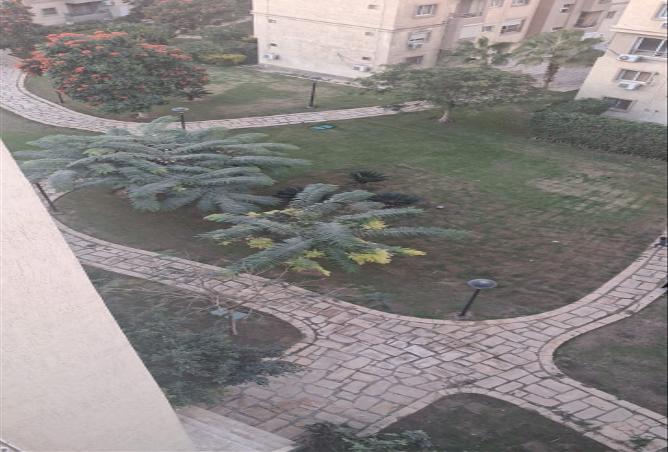 8441495 - الصورة الرئيسية للعقار