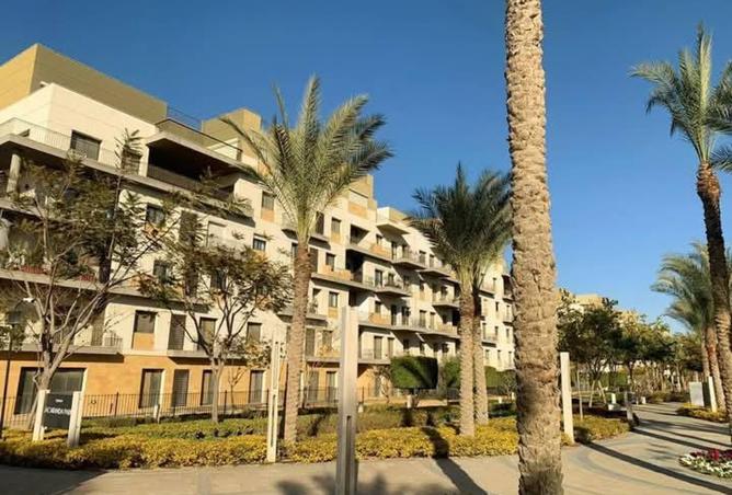 8237554 - Property Image 3