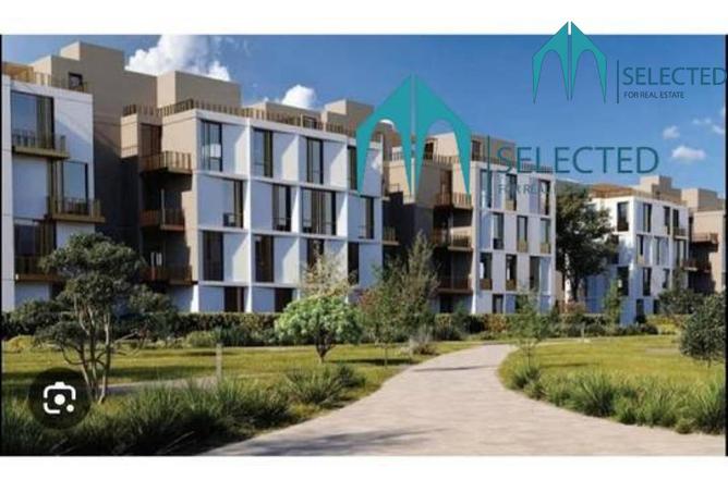 8359913 - Property Image 3