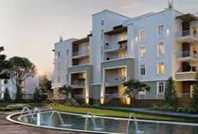 8081200 - Property Image 3