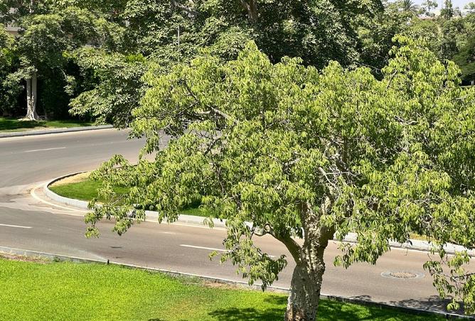 8427133 - Property Image 2