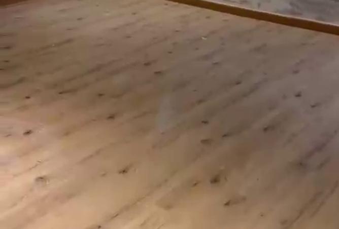 8537917 - صورة العقار 3