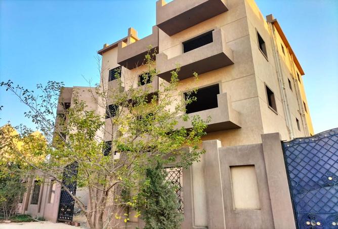 7986681 - Property Image 3