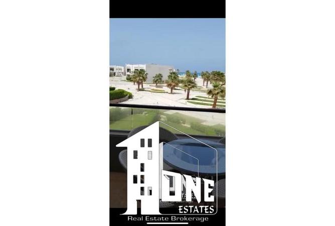 8155351 - صورة العقار 2