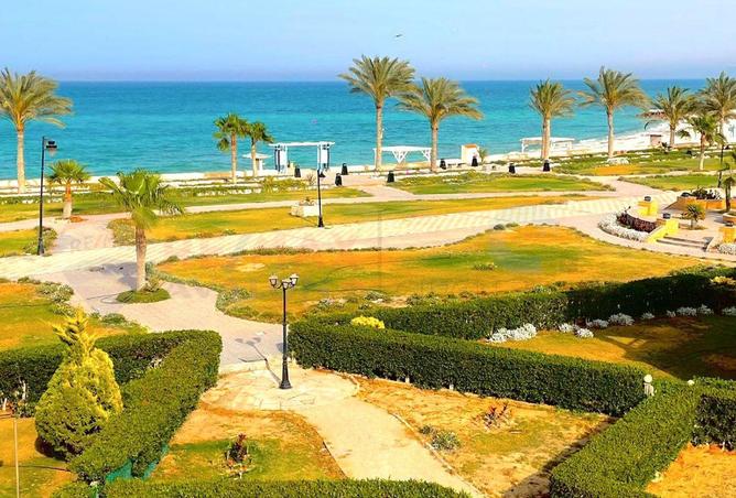 5431105 - صورة العقار 3