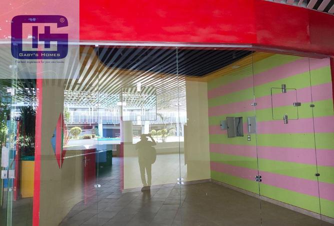 8174234 - Property Image 2