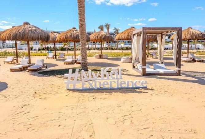 8560978 - Property Image 3