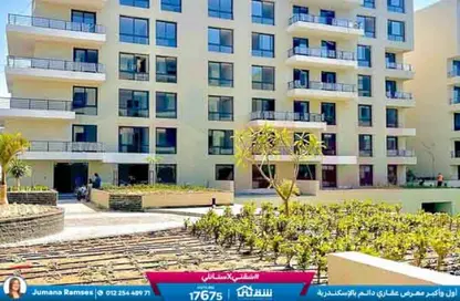 شقة - 3 غرف نوم - 1 حمام للبيع في بالم هيلز - كمبوندات الاسكندرية - الاسكندرية شقة - 3 غرف نوم - 1 حمام للبيع في بالم هيلز - كمبوندات الاسكندرية - الاسكندرية