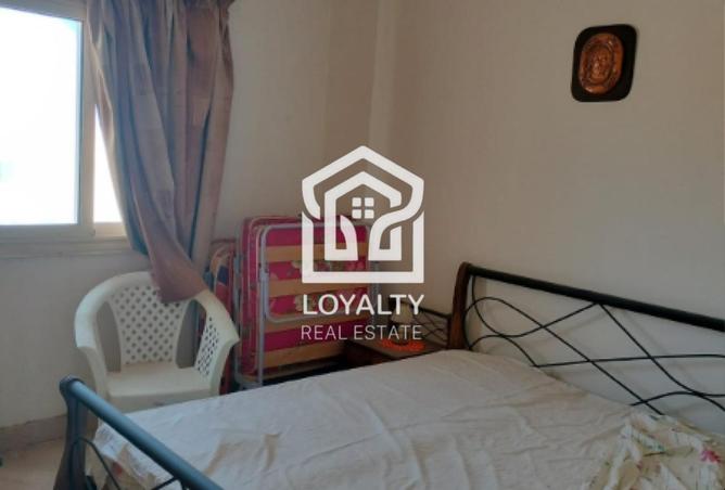 7995061 - Property Image 3
