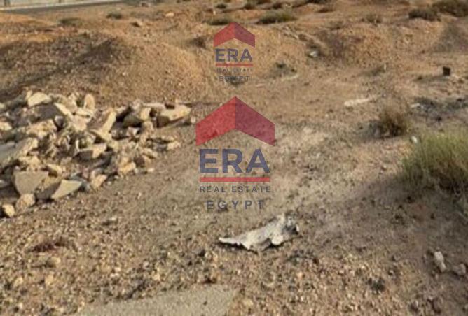 6858040 - Property Image 3