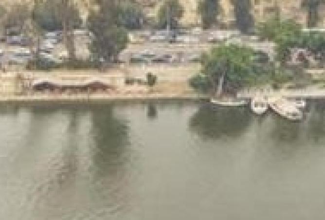 7947861 - صورة العقار 2