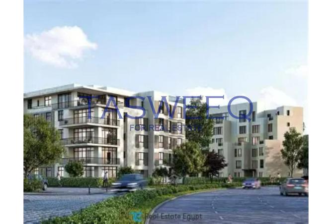 7975861 - Property Image 3