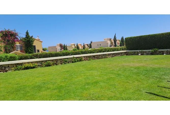 8165963 - صورة العقار 3