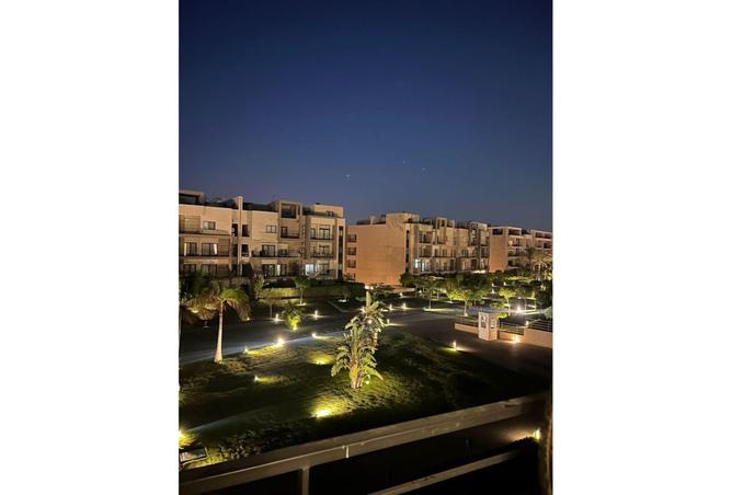 8198418 - Property Image 3