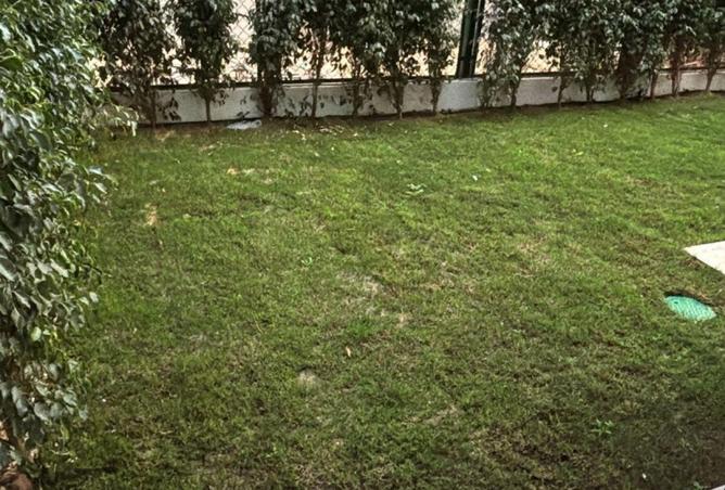 8002289 - Property Image 3