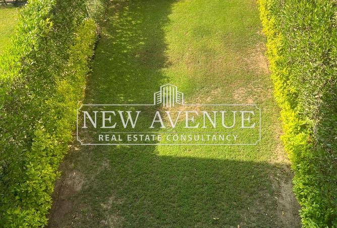 8136950 - Property Image 3