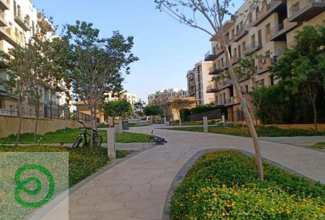 8464653 - Property Image 3