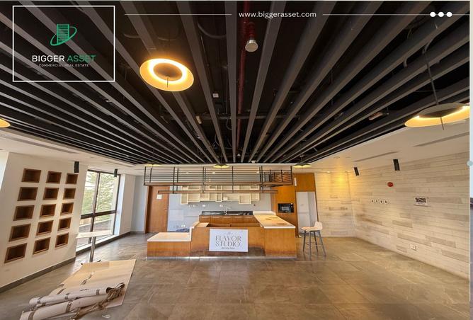 7980917 - Property Image 3