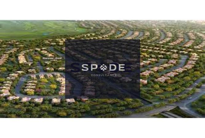 8132821 - Property Image 3