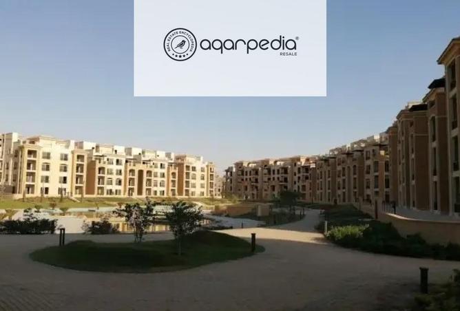 8132219 - Property Image 3