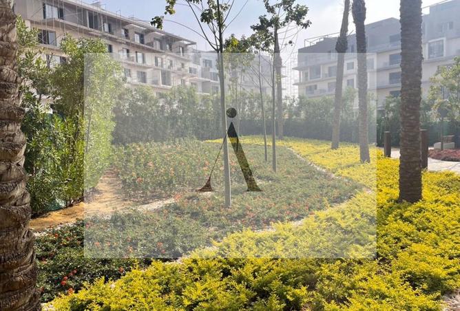 8283986 - صورة العقار 3