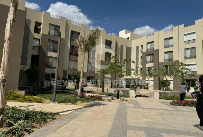 8437841 - Property Image 3