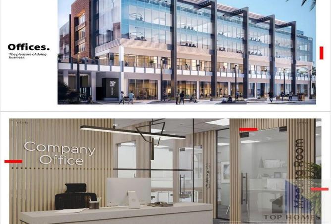 8182405 - Property Image 3