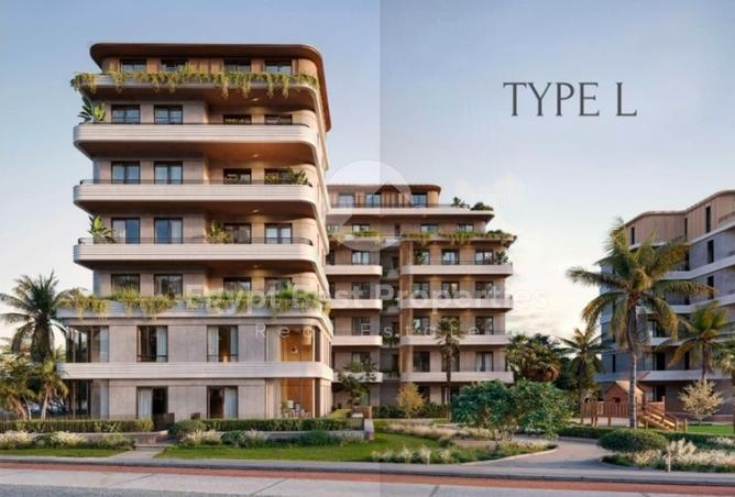 8077349 - Property Image 3