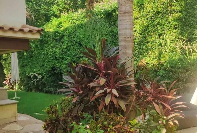 8255586 - Property Image 2