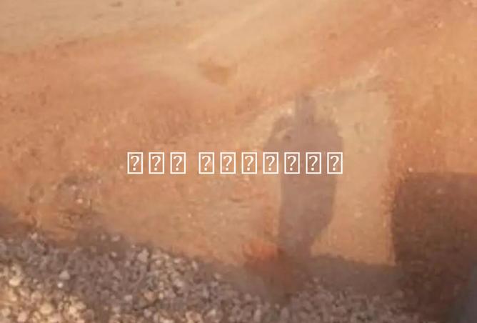 7788306 - الصورة الرئيسية للعقار