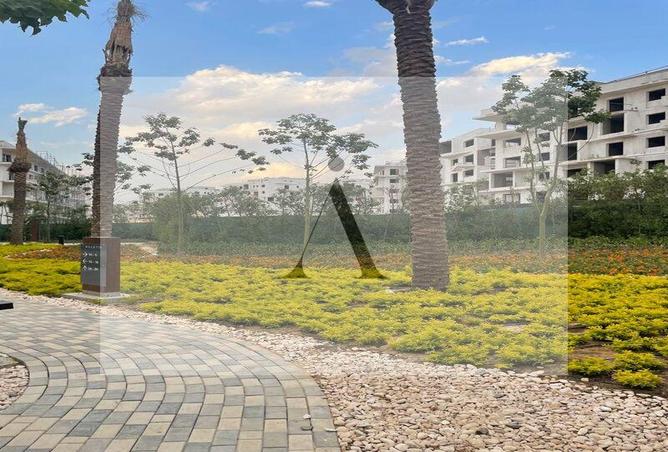 7974575 - صورة العقار 3