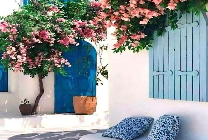 8251765 - الصورة الرئيسية للعقار