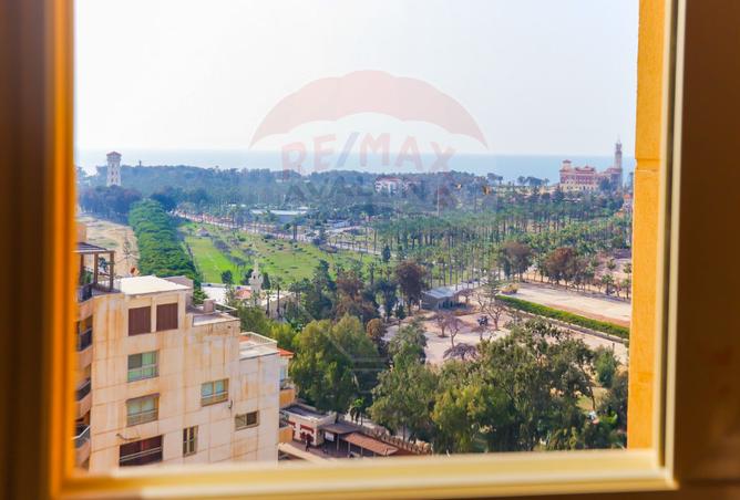 8268462 - Property Image 2