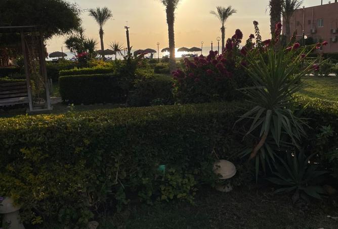 8312136 - صورة العقار 3