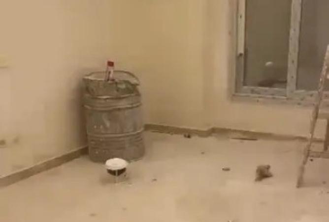 8183276 - صورة العقار 3