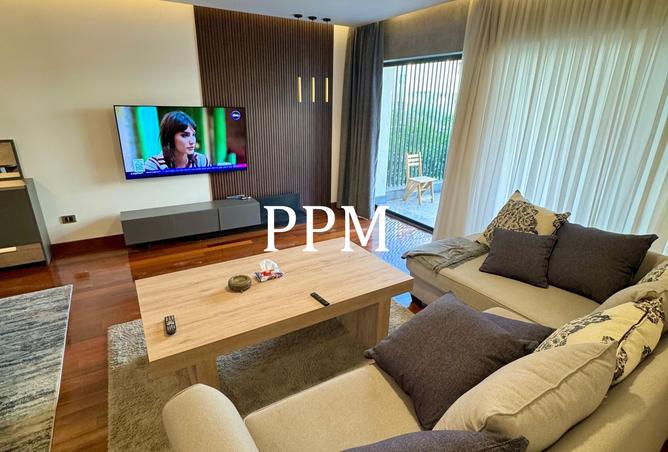 8437775 - Property Image 3