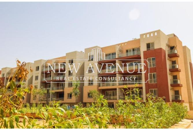 8019618 - Property Main Image