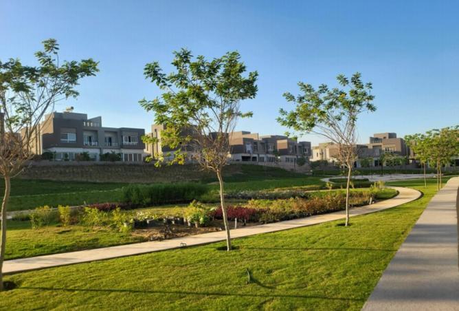 8193306 - صورة العقار 2