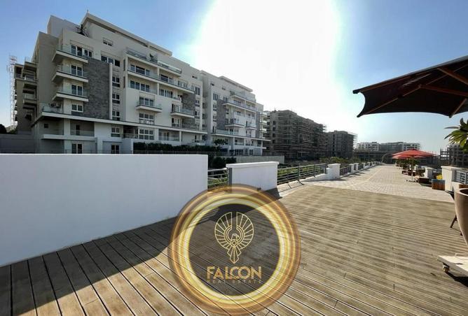 7884141 - Property Image 3