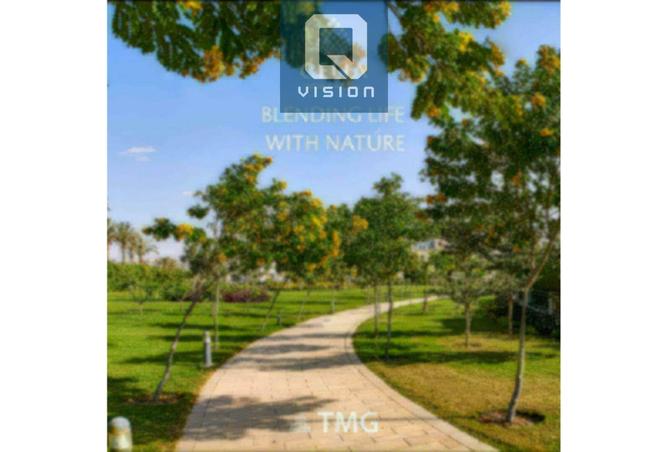 8174868 - Property Image 3