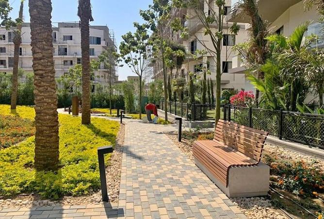 8317608 - Property Image 3