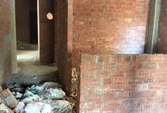 8143974 - Property Image 3