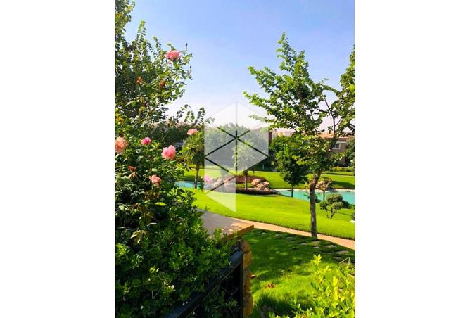 8271792 - Property Image 3